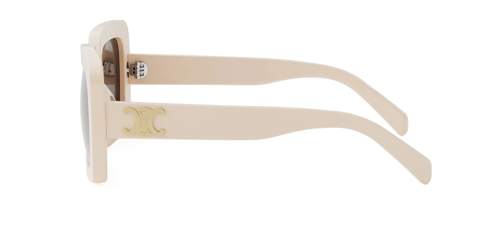 CELINE Triomphe CL40304U