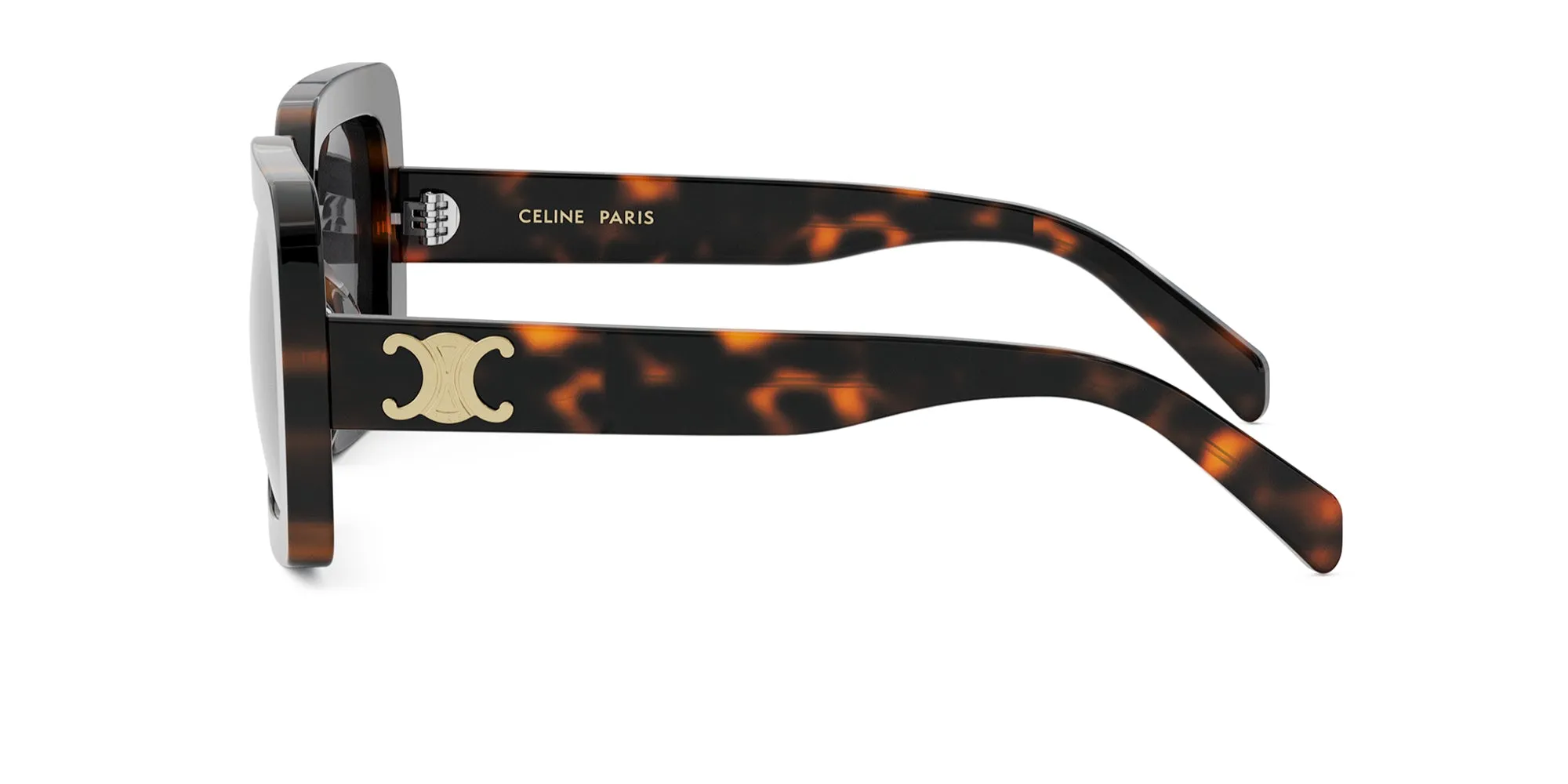 CELINE Triomphe CL40304U