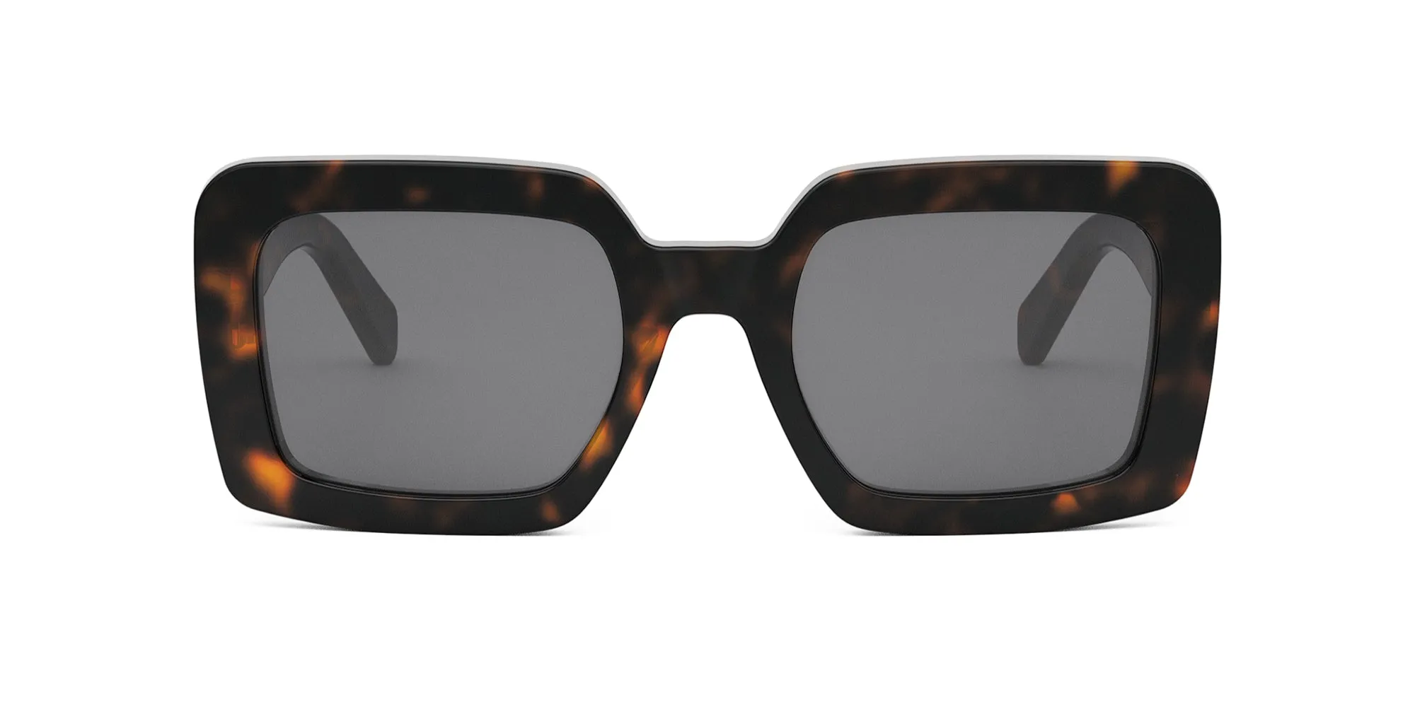CELINE Triomphe CL40304U