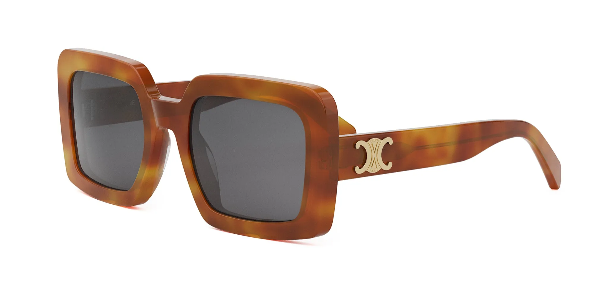 CELINE Triomphe CL40304U