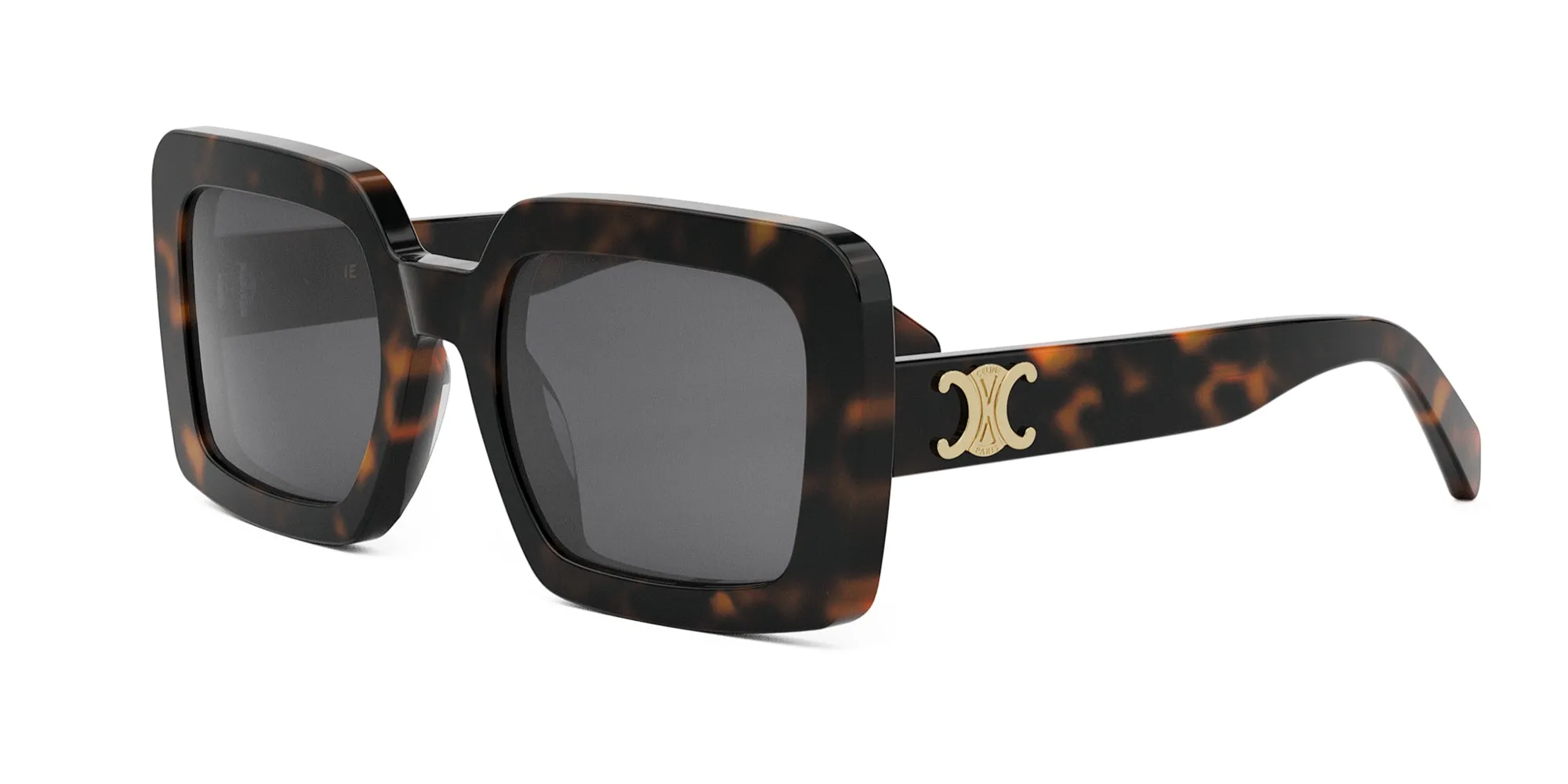 CELINE Triomphe CL40304U