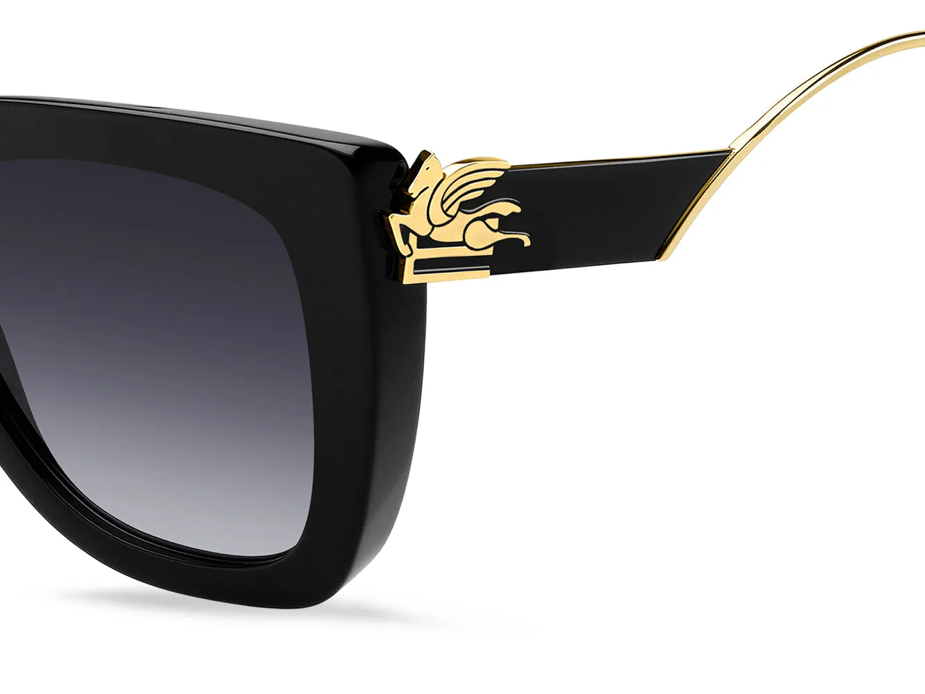 ETRO 0040/S