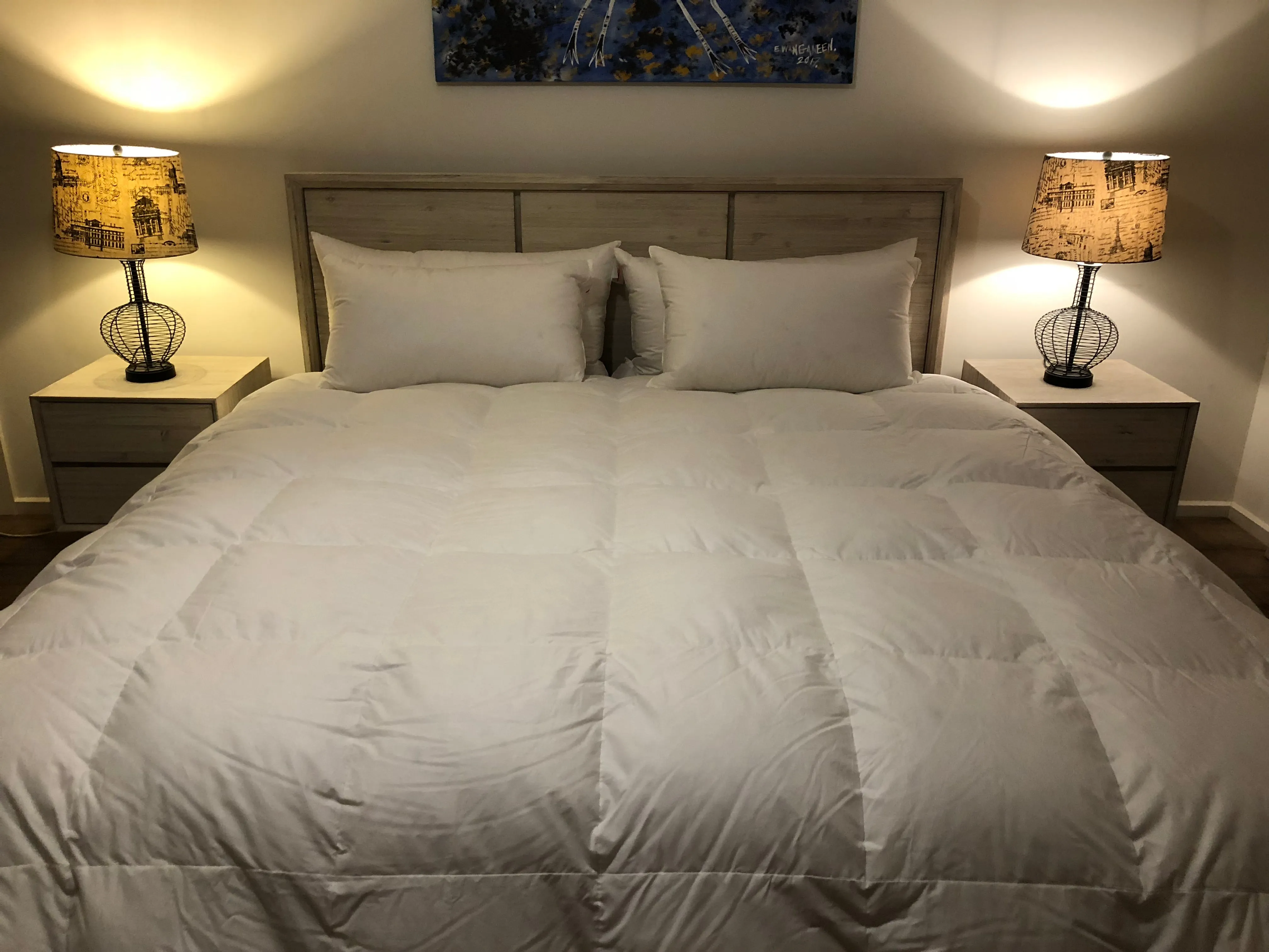 King Size Quilt Baffle Boxed 95% White Premium Polish Mother Goose Down 6 Blanket Warmth 900 Fill Power