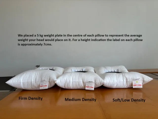 Standard Size SOFT density LOW profile Pillow 95% White Premium Polish Mother Goose Down German Batiste TE100
