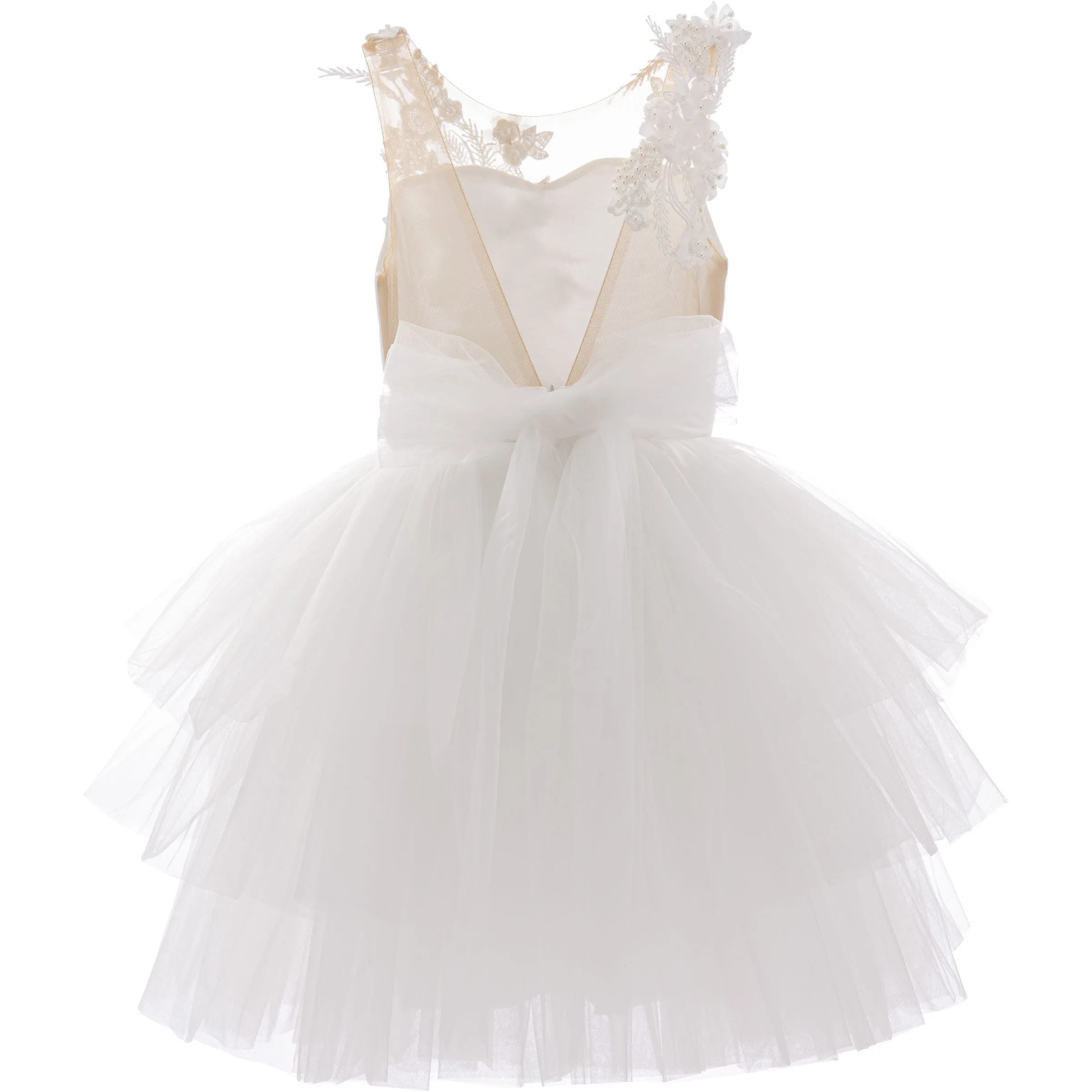 White Carnelian Floral Embroidered Tulle Dress